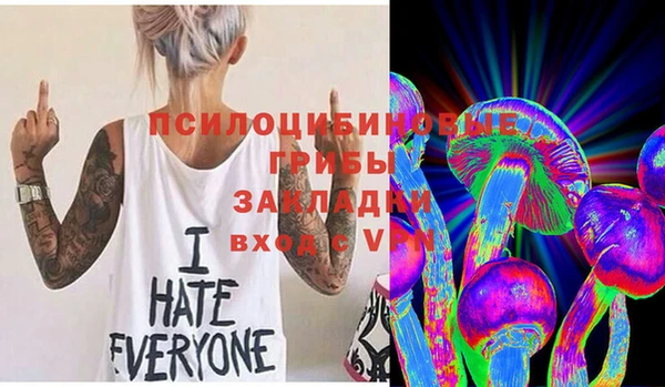 мдпв Беломорск