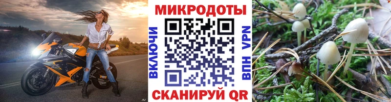 купить наркоту Волосово Галлюциногенные грибы MAGIC MUSHROOMS